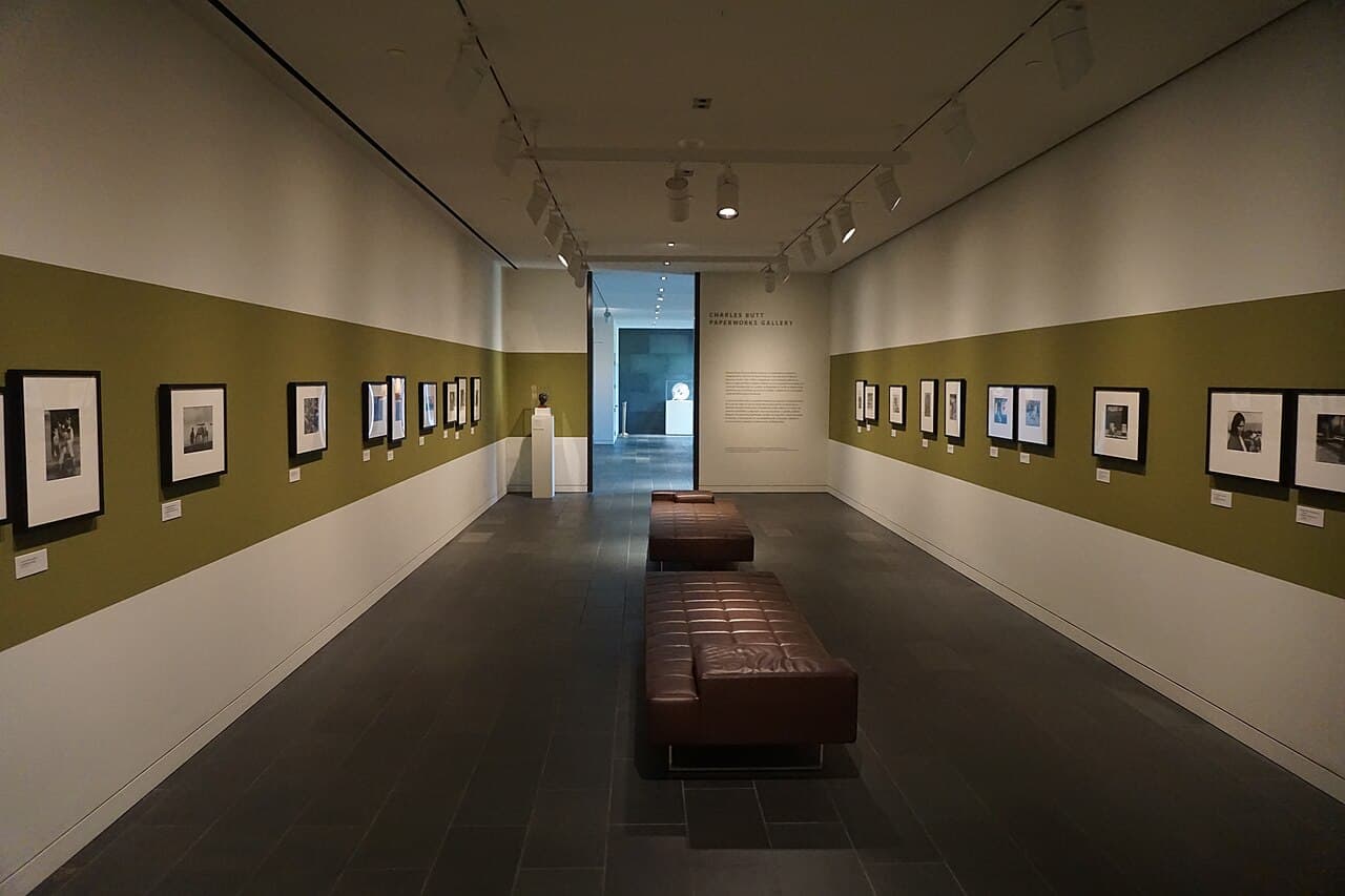 McNay Art Museum, where Garden Party: Nature on Paper is on view